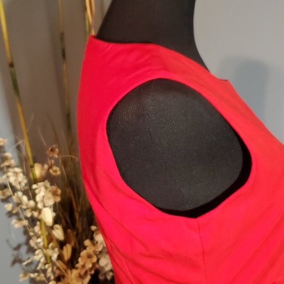 Calvin Klein Dress  Size 8P NWT - Picture 10 of 13